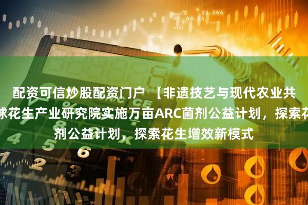配资可信炒股配资门户 【非遗技艺与现代农业共振】胡姬花全球花生产业研究院实施万亩ARC菌剂公益计划，探索花生增效新模式