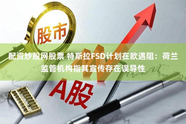 配资炒股网股票 特斯拉FSD计划在欧遇阻:荷兰监管机构指其宣传存在误导性